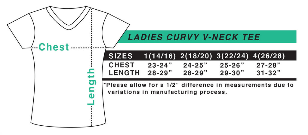 Inktastic Breast Cancer Awareness Had It Beat It Survivor Women's Plus Size V-Neck T-Shirt