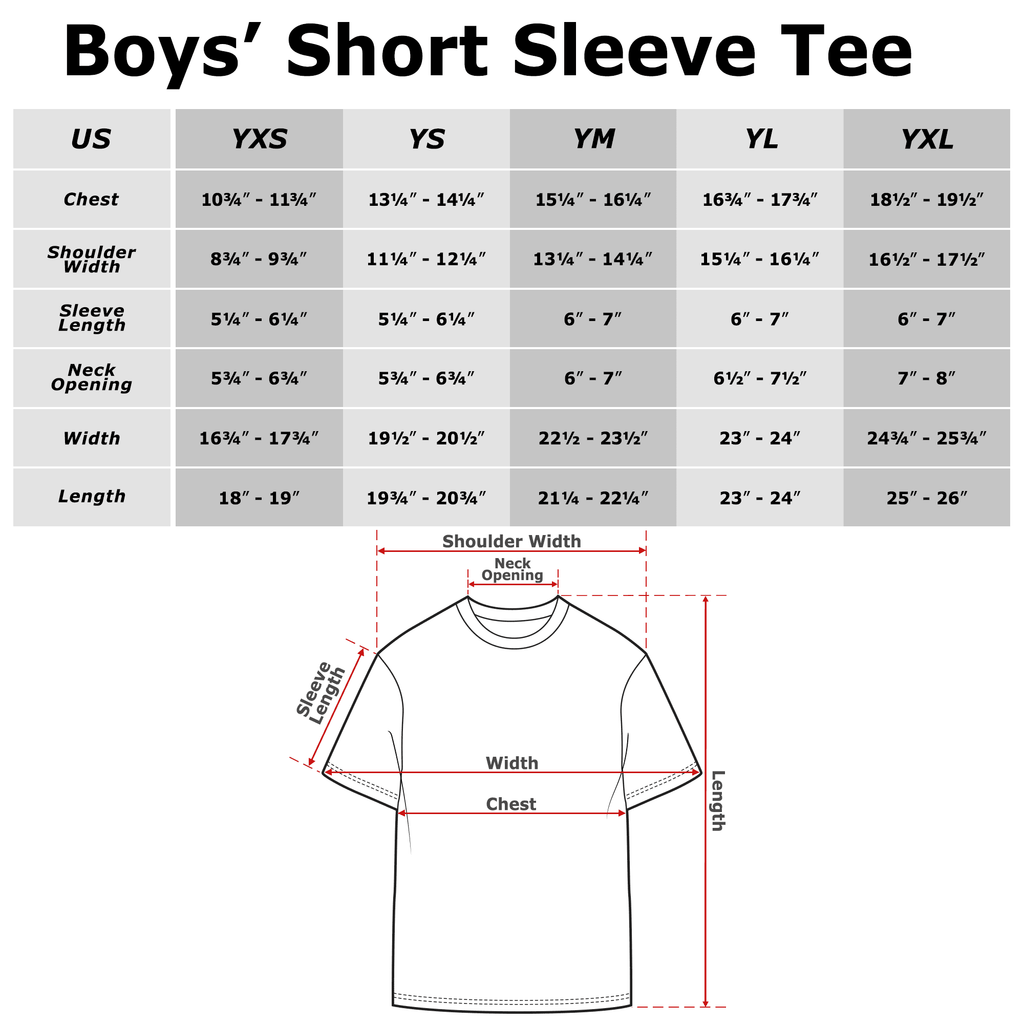 Boy's Star Wars Valentine's Day You Are A-Porg-Able Graphic Tee Black X Small